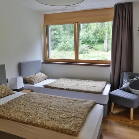 Apartamento Exklusive Im Mit Wellness Laax